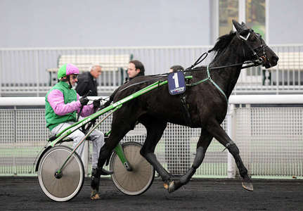 Actualités Hippiques